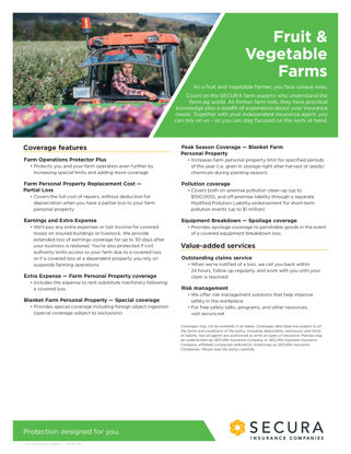Fruit & Vegetable Farms Sell Sheet
